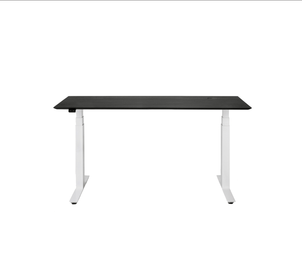 Bok Adjustable Desk - Sage Interiorsethnicraft