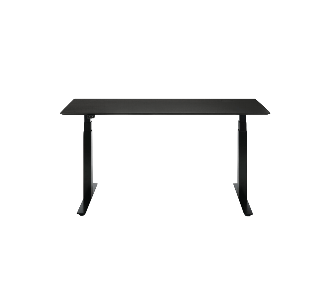 Bok Adjustable Desk - Sage Interiorsethnicraft