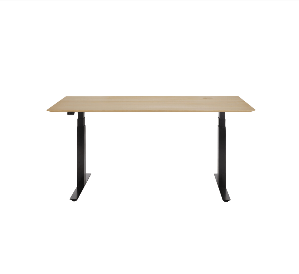 Bok Adjustable Desk - Sage Interiorsethnicraft