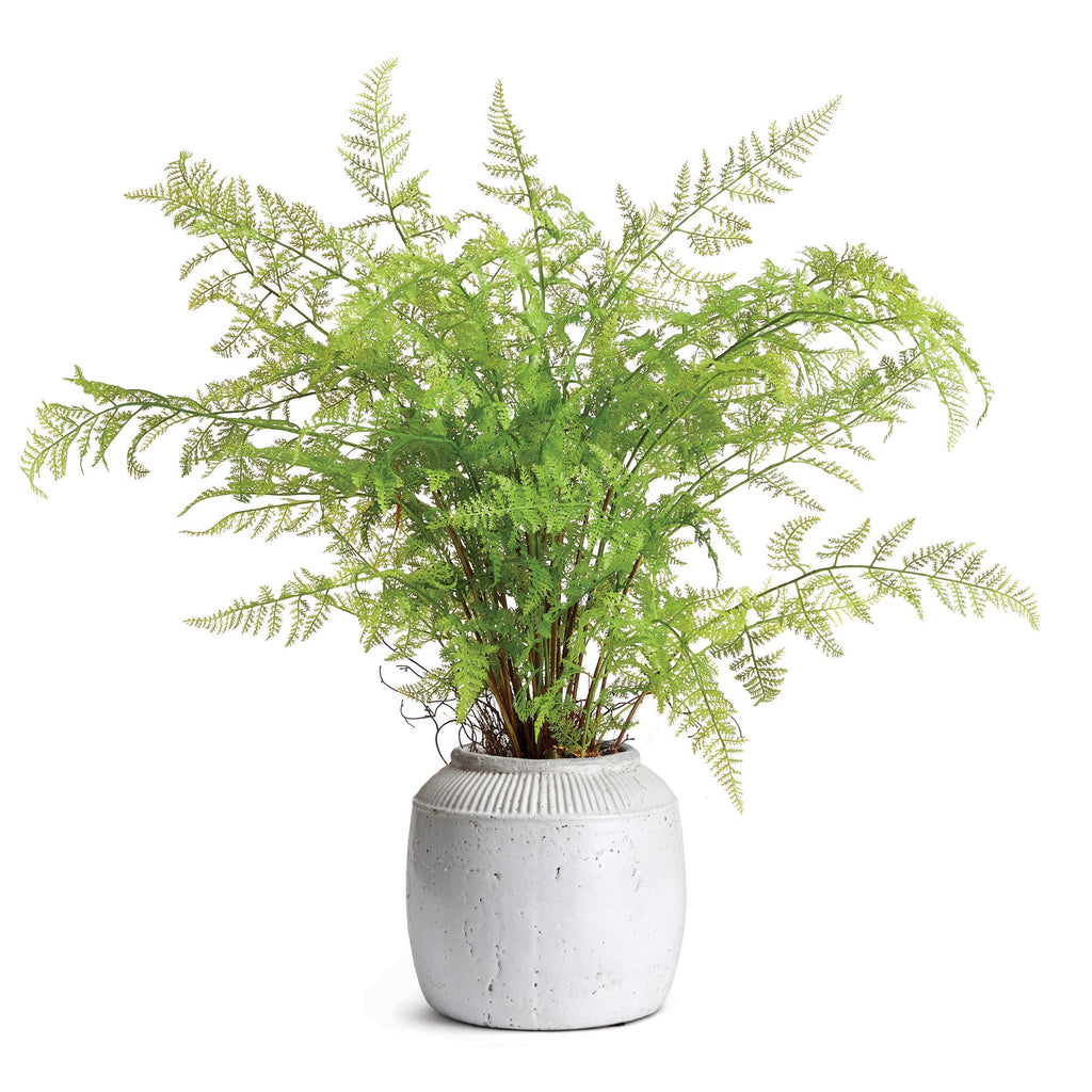 Etruia Jar, Large - Sage InteriorsNapa Home & GardenDecor