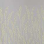 Feather Grass Wallpaper - Sage InteriorsFarrow & BallWallpaper