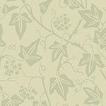 Ivy Wallpaper - Sage InteriorsFarrow & BallWallpaper