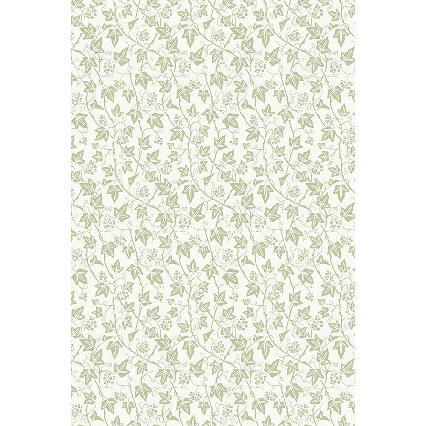 Ivy Wallpaper - Sage InteriorsFarrow & BallWallpaper