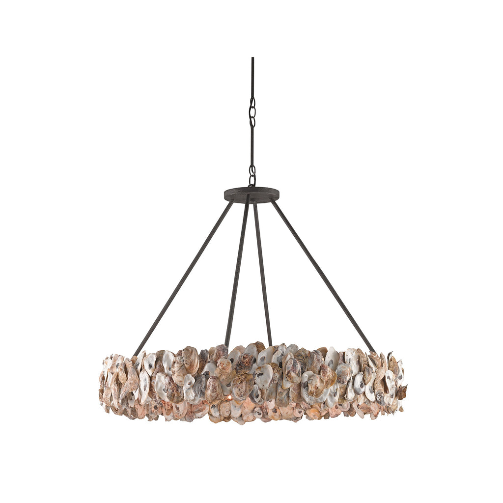 Oyster Chandelier - Sage InteriorsCurrey and CompanyChandelier