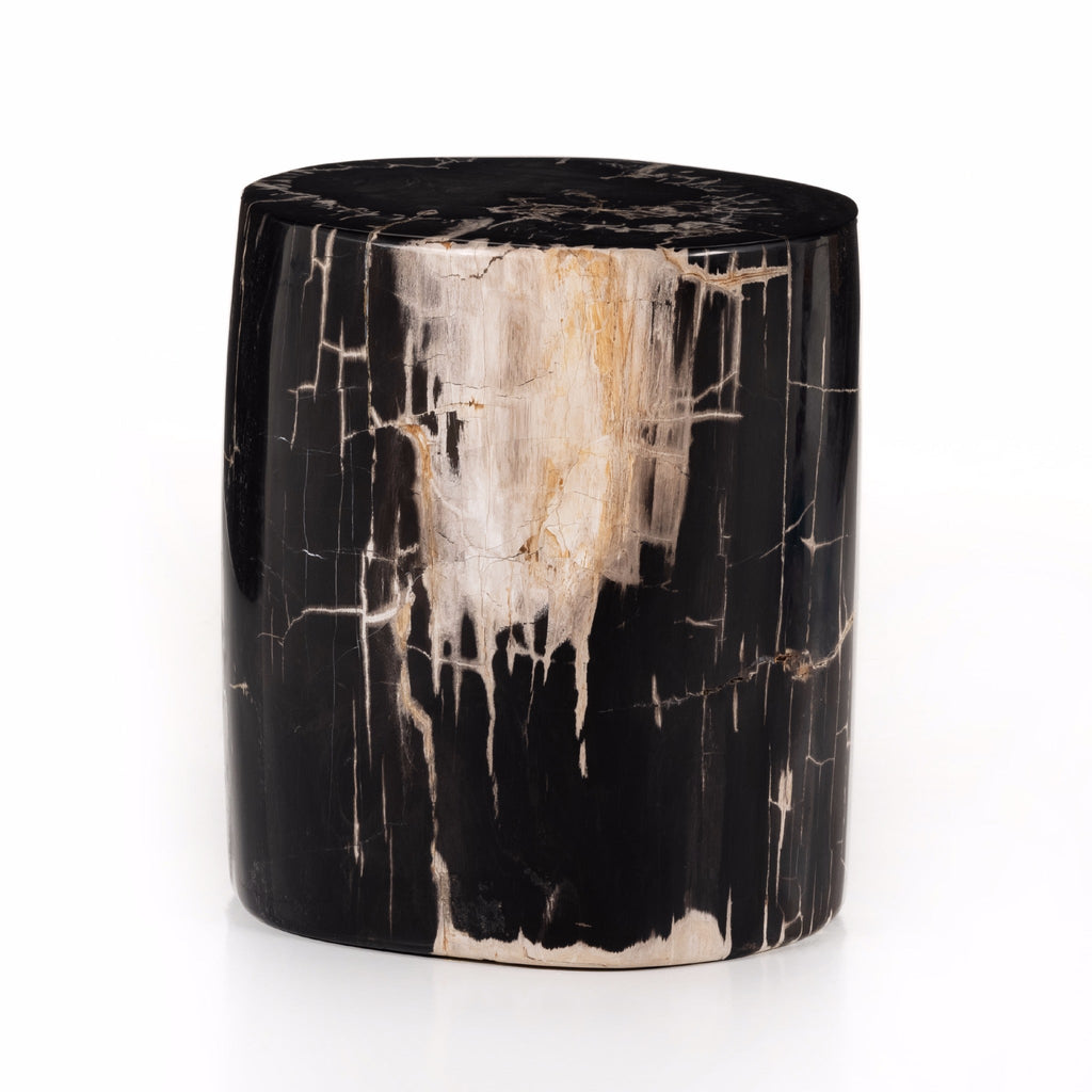 Petrified End Table I - Sage InteriorsFHEnd Table