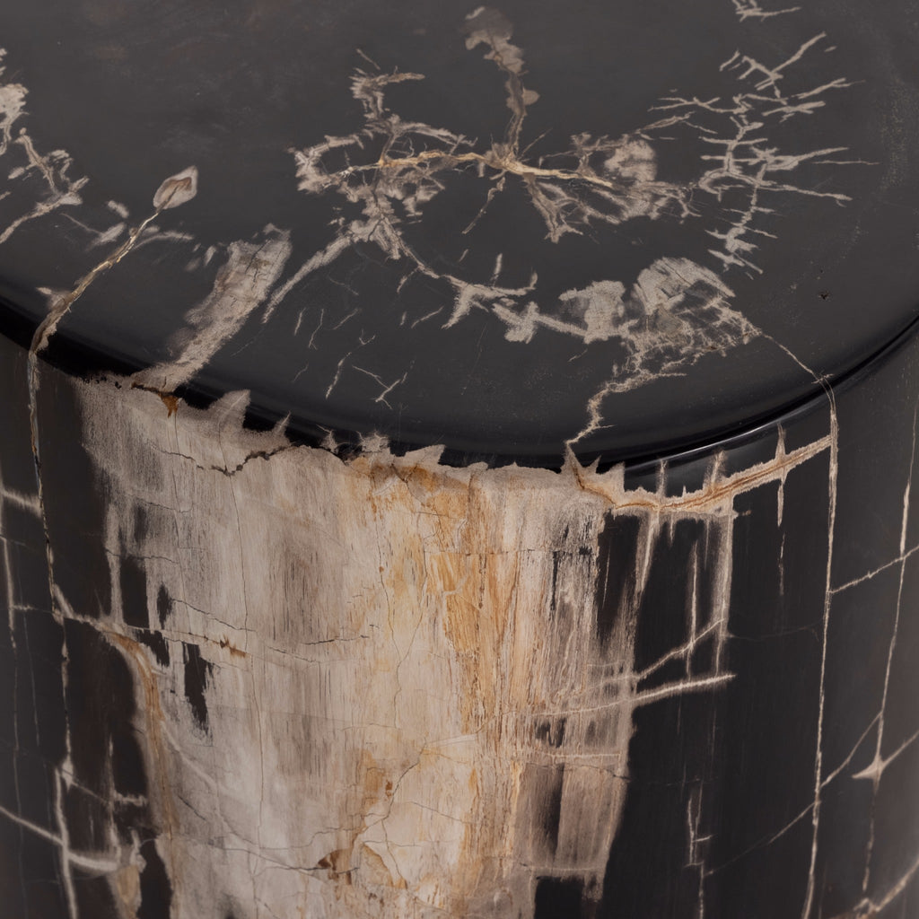 Petrified End Table I - Sage InteriorsFHEnd Table