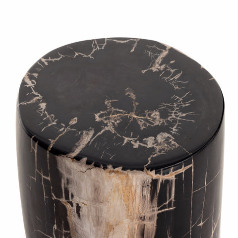 Petrified End Table I - Sage InteriorsFHEnd Table