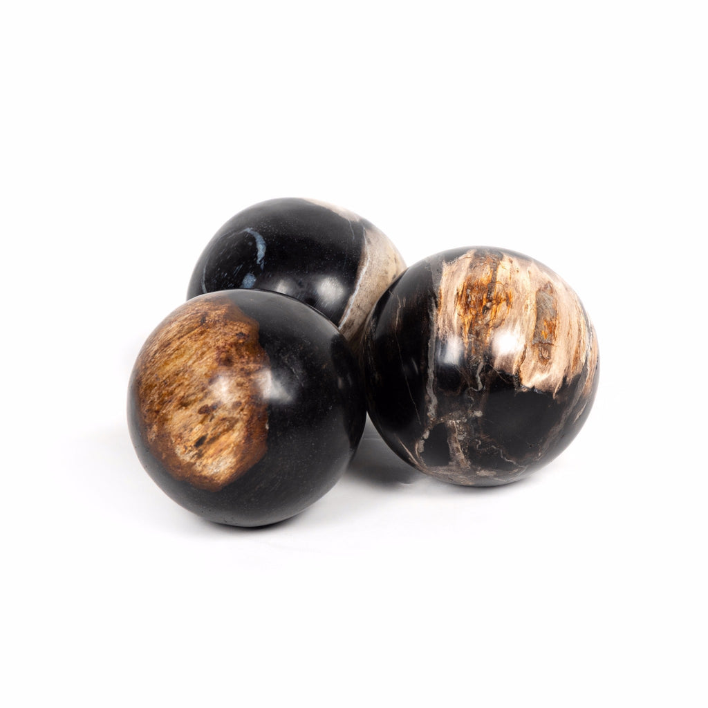 Petrified Wood Ball Set - Sage InteriorsFHDecor