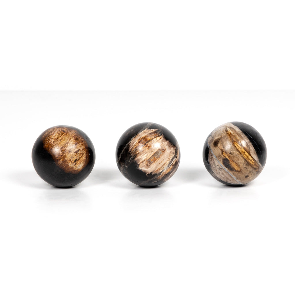 Petrified Wood Ball Set - Sage InteriorsFHDecor