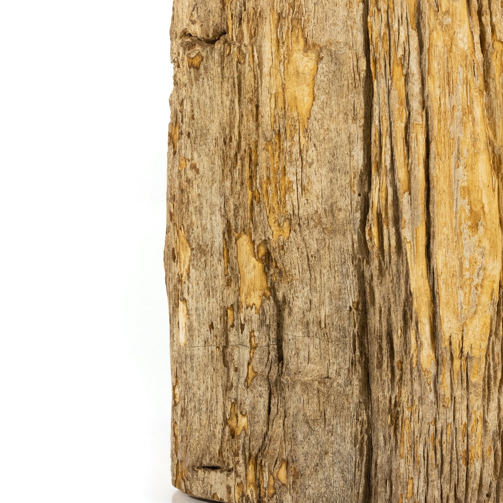 Petrified Wood End Table III - Sage InteriorsFH