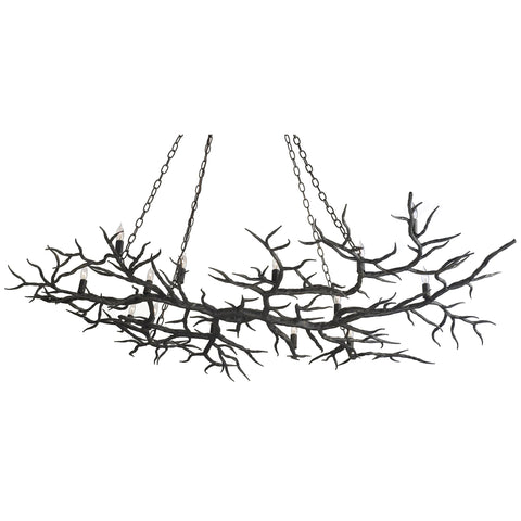 Rainforest Bronze Chandelier - Sage InteriorsCurrey and CompanyChandelier