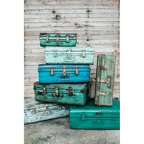 Vintage Trunks - Sage InteriorsTREE